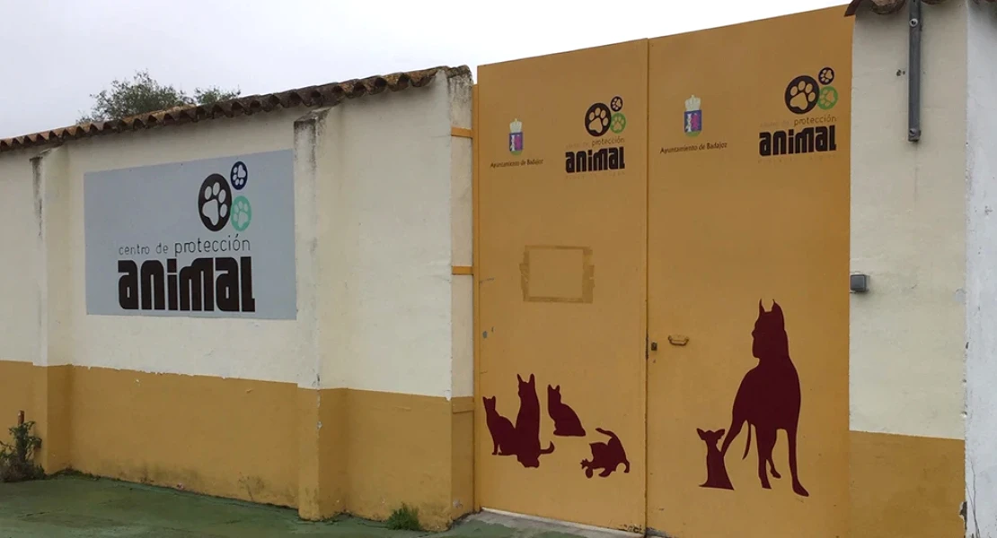 PACMA denuncia que la perrera de Badajoz es "un infierno” para los animales
