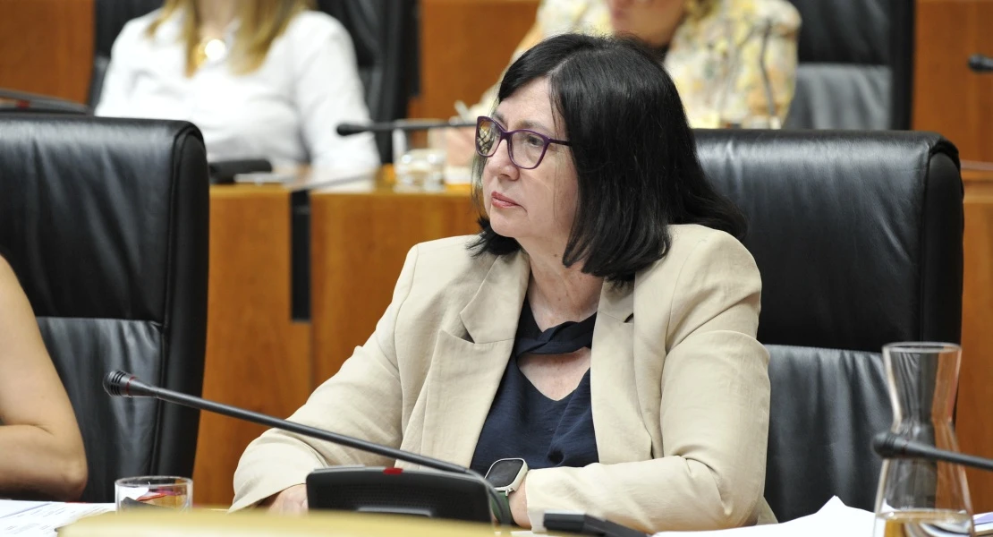 El PSOE carga contra la Junta por el despido de 56 trabajadores en centros de transporte