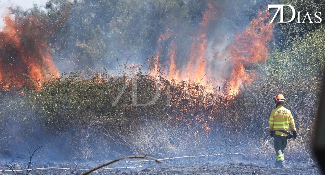 Imágenes que deja el incendio forestal de este martes en Badajoz