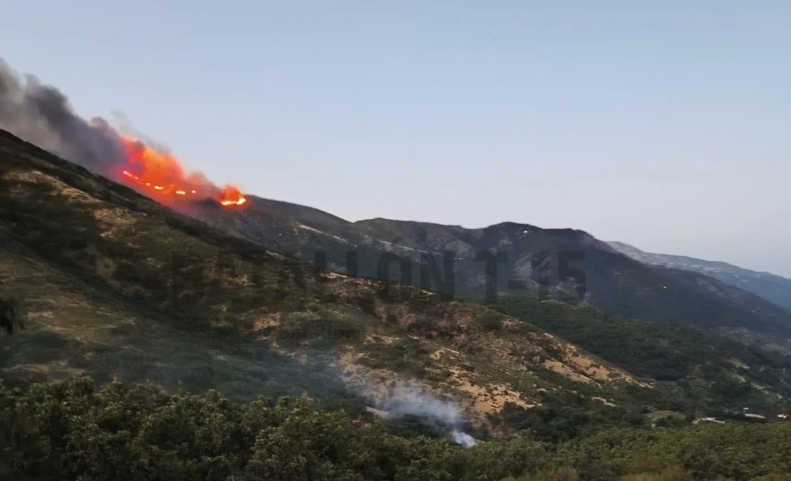 El Plan INFOEX declara un incendio en Tornavacas (CC)