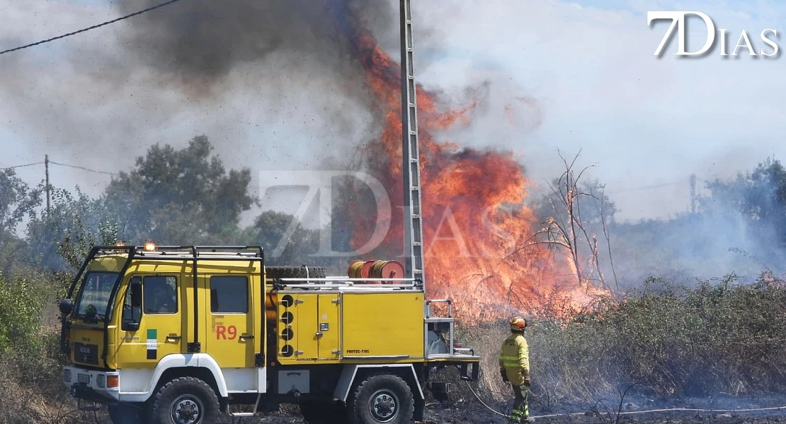 Imágenes que deja el incendio forestal de este martes en Badajoz