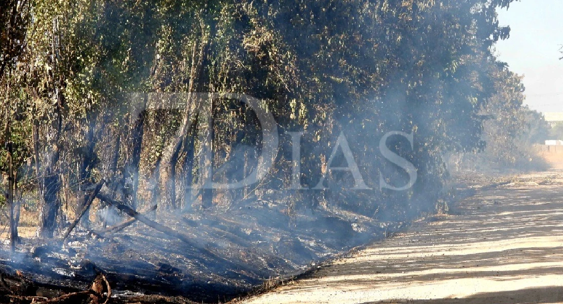 Un nuevo incendio agrícola calcina tres hectáreas de terreno en Badajoz