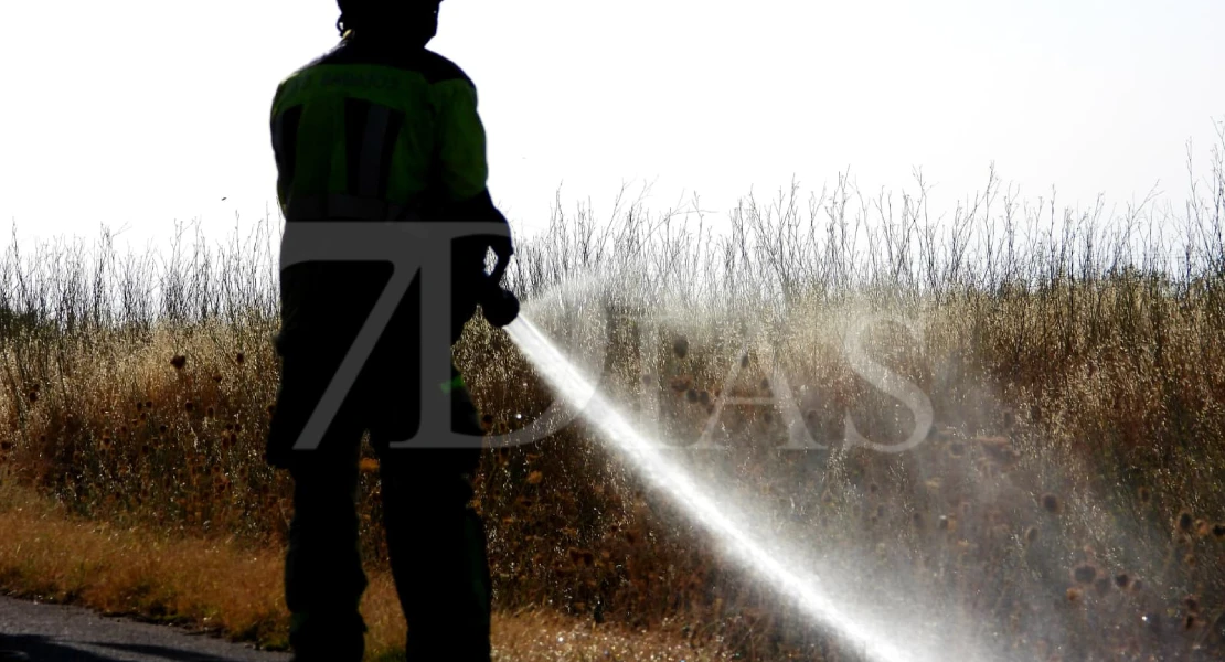 Los bomberos trabajan en un incendio forestal cerca de Badajoz