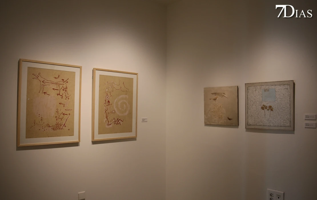 El MUBA sella su proyecto regional con la inauguración de ´La atávica mirada contemporánea´, de Hilario Bravo