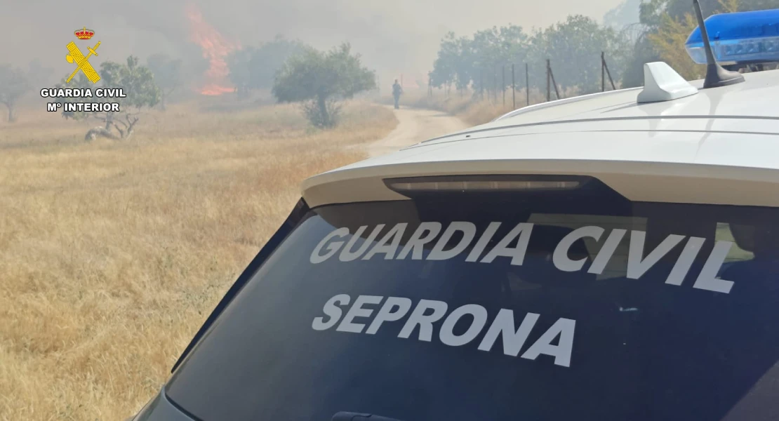 Un descuido con una radial: investigan a un hombre por un incendio que calcinó 34 ha en Cáceres