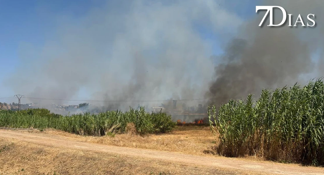 Imágenes del grave incendio la zona de Ronda Norte (BA)