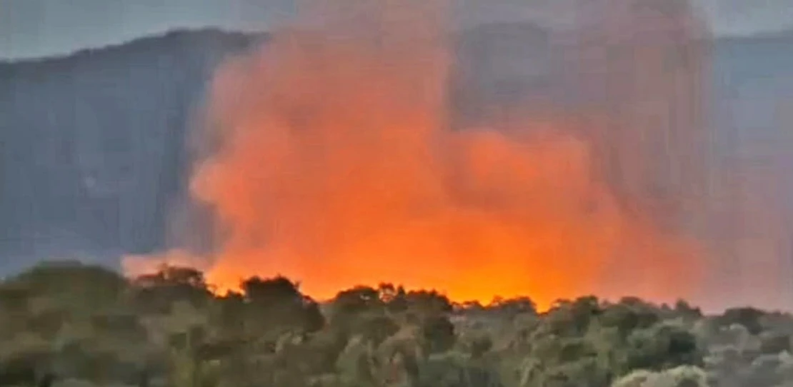 Bomberos extinguen un incendio forestal en la provincia de Cáceres