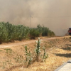 Imágenes del grave incendio la zona de Ronda Norte (BA)