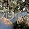 Los bomberos trabajan en un incendio forestal cerca de Badajoz