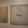 El MUBA sella su proyecto regional con la inauguración de ´La atávica mirada contemporánea´, de Hilario Bravo