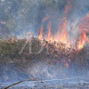Imágenes que deja el incendio forestal de este martes en Badajoz