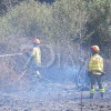 Imágenes que deja el incendio forestal de este martes en Badajoz