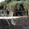 Imágenes del incendio forestal en Valdefuentes (CC)