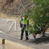Imágenes del accidente múltiple en la A-66 a la altura de Fuente de Cantos