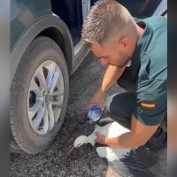 La Guardia Civil de Badajoz salva a una cigüeña que sufrió un golpe de calor en plena carretera