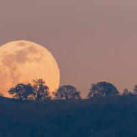 Luna del Ciervo en Extremadura: consulta la fecha para no perderte la luna llena de julio