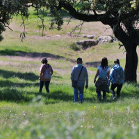 Bajan las temperaturas este sábado antes de un nuevo ascenso