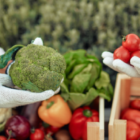 Ayudas para impulsar los regímenes de calidad agroalimentaria en 2026 en Extremadura