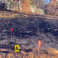 Indentifican al causante del incendio que arrasó 14 ha junto a una urbanización pacense