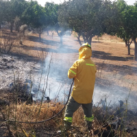 El dispositivo contra incendios de la CHG evita la propagación de siete conatos en junio