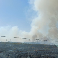 Un incendio amenaza viviendas y obliga a cortar una carretera en la provincia de Cáceres