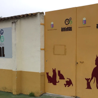 PACMA denuncia que la perrera de Badajoz es "un infierno” para los animales