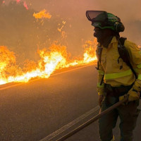 Ya van 11 fallecidos en el incendio forestal más grave de Andalucía