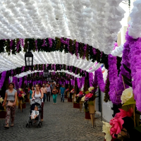 La centenaria Fiesta de las Flores volverá a celebrarse en Campomayor 11 años después