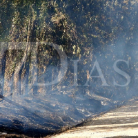 Un nuevo incendio agrícola calcina tres hectáreas de terreno en Badajoz