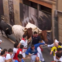 El último encierro de San Fermín se salda con numerosos heridos