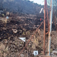 Investigado por su implicación en un incendio forestal en un paraje extremeño