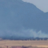 Bomberos del INFOEX trabajan en un incendio forestal junto a la EX-206