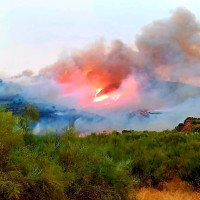 Proponen un Plan de Emergencia para proteger a Extremadura de incendios forestales