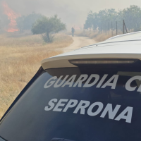 Un descuido con una radial: investigan a un hombre por un incendio que calcinó 34 ha en Cáceres