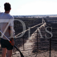 Imágenes del incendio forestal en Valdefuentes (CC)
