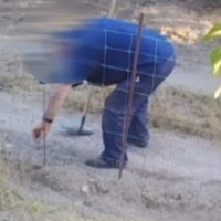 Un hombre emplea métodos masivos y no selectivos para matar animales en Extremadura