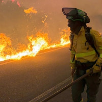 FEDEXCAZA reaviva el debate sobre la prevención de incendios con las medidas propuestas en 2025