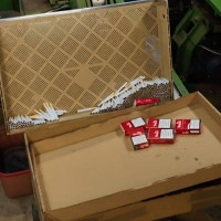Caen dos organizaciones que se encargaban del tabaco de contrabando en España