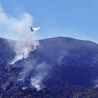 El incendio forestal de Tornavacas evoluciona favorablemente