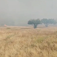 Dan por estabilizado el incendio forestal de Arroyo de la Luz