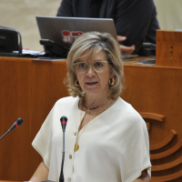 El PSOE plantea cinco medidas para prevenir la peste porcina africana en Extremadura