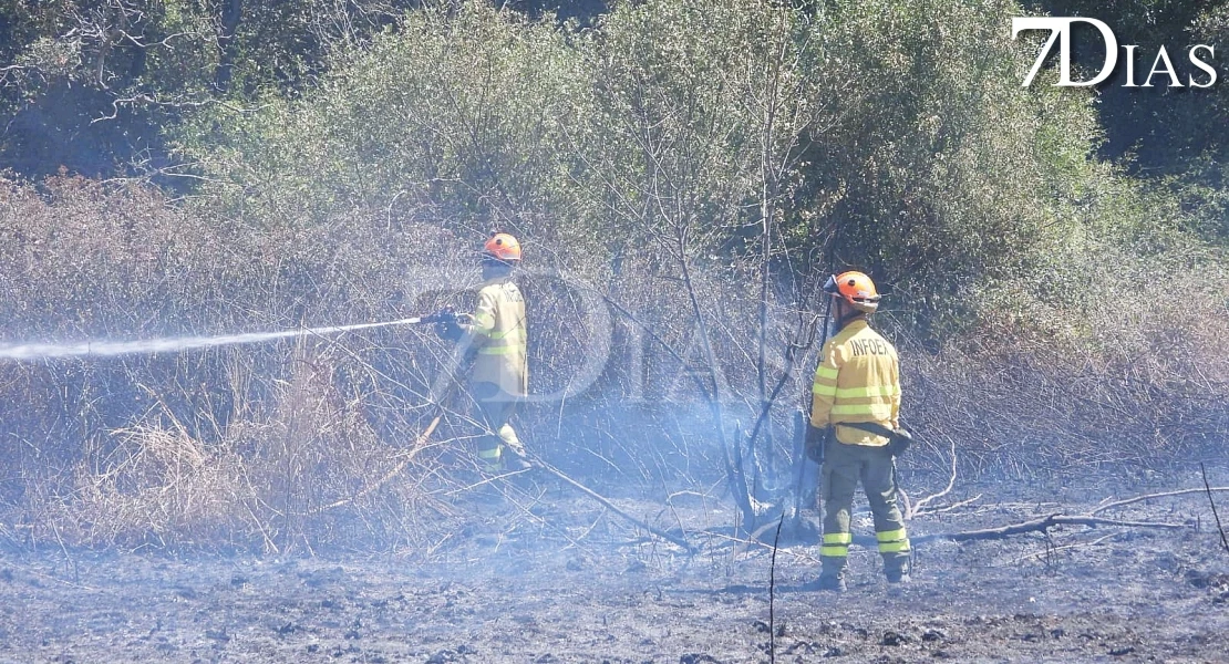 Imágenes que deja el incendio forestal de este martes en Badajoz