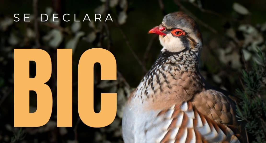 La perdiz con reclamo ya es Bien de Interés Cultural de Extremadura