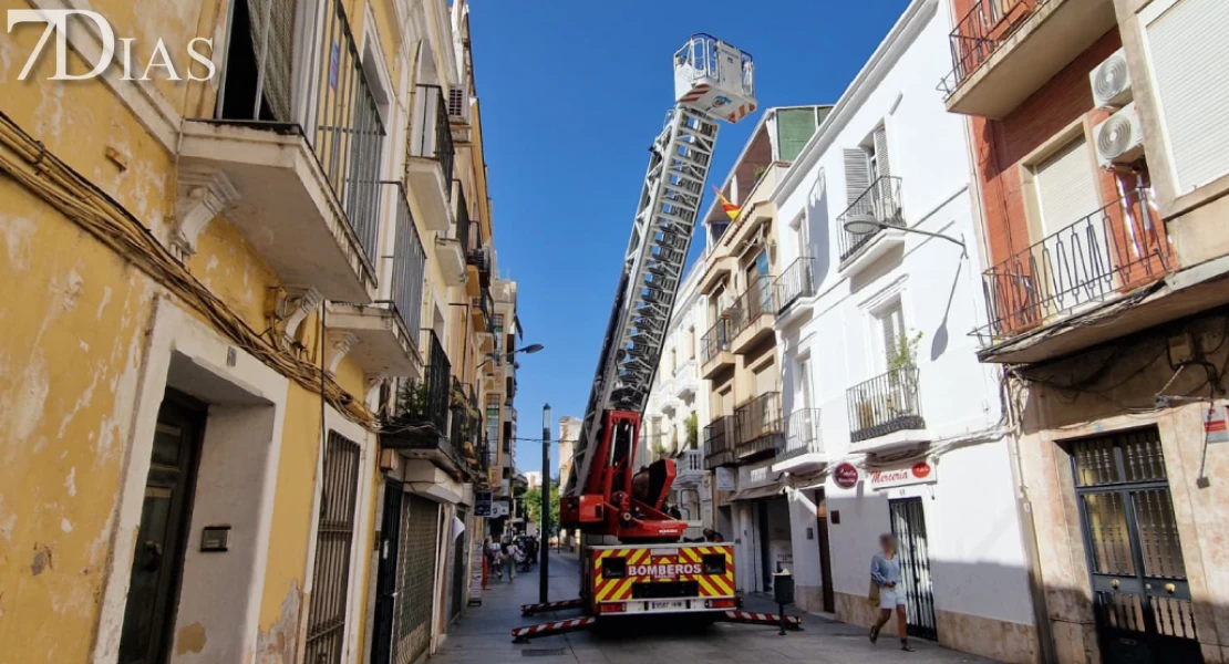 Los bomberos protagonizan el rescate de un gato en el centro de Badajoz