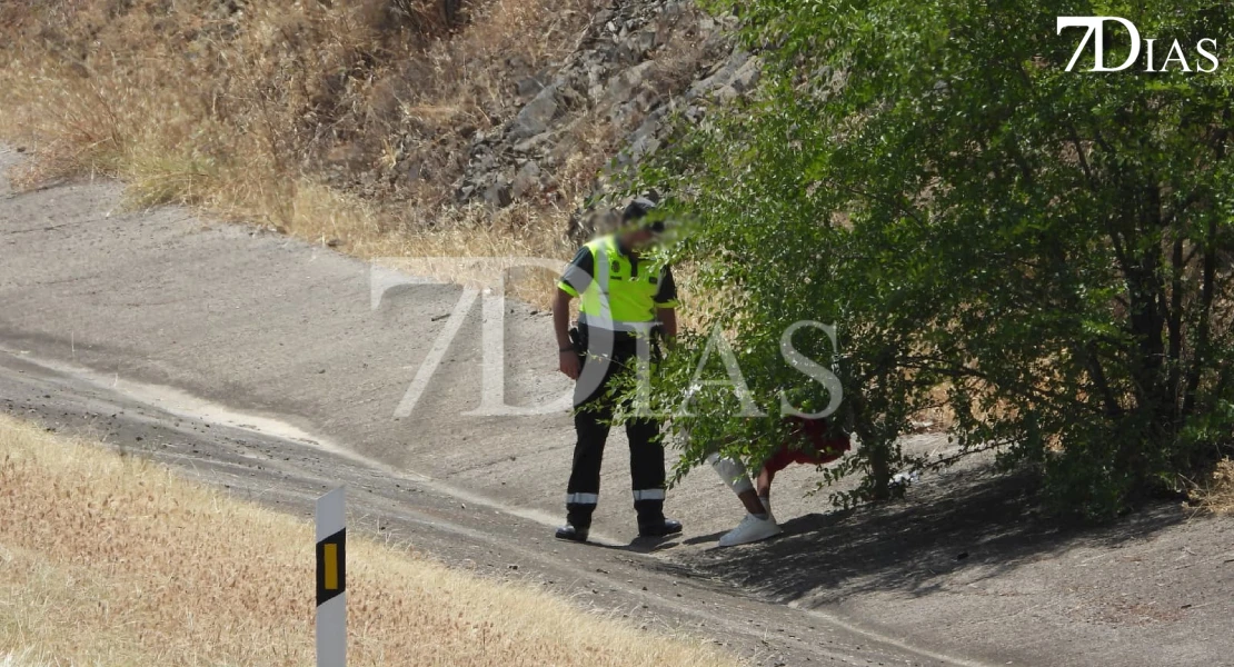 Imágenes del accidente múltiple en la A-66 a la altura de Fuente de Cantos