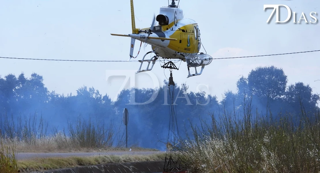 Imágenes que deja el incendio forestal de este martes en Badajoz
