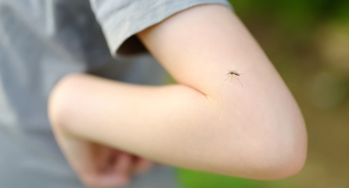 La OCU deja claro que las pulseras antimosquitos no sirven: estas son las opciones más eficaces
