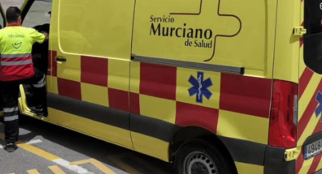 Muere un hombre tras caerle una rama de un árbol