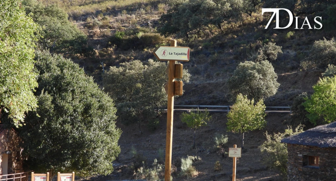 Así se vive la berrea del ciervo en el Parque Nacional de Monfragüe