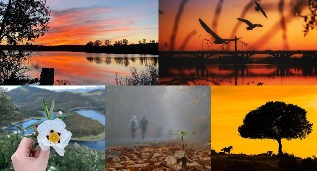 DIA INTERNACIONAL DE LA FOTOGRAFIA: VOTA TU INSTANTÁNEA FAVORITA